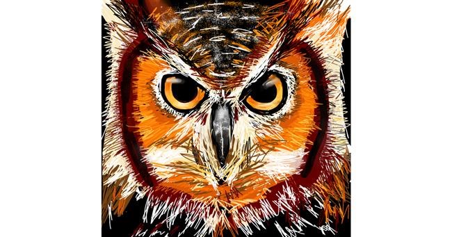 Drawing of Owl by Rose rocket
