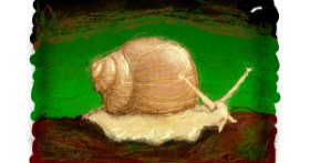 Drawing of Snail by Paranoia