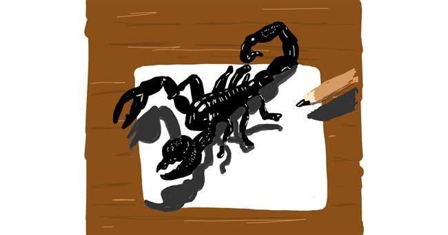 Drawing of Scorpion by Geo-Pebbles