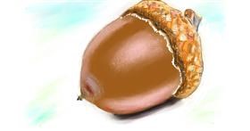 Žir - autor: Herbert