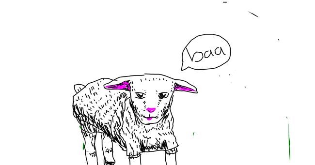 Drawing of Sheep by Anonymous