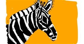 Drawing of Zebra by Anonymous