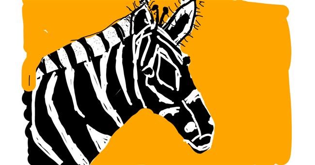 Drawing of Zebra by Anonymous