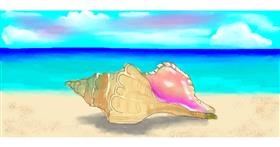 Drawing of Seashell by Debidolittle