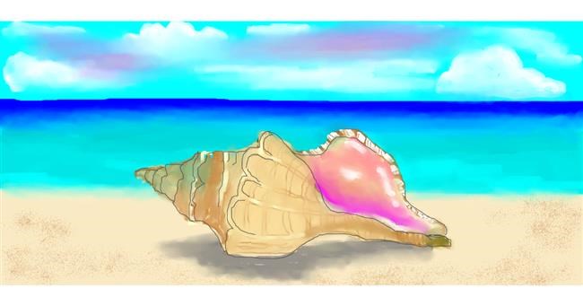Drawing of Seashell by Debidolittle