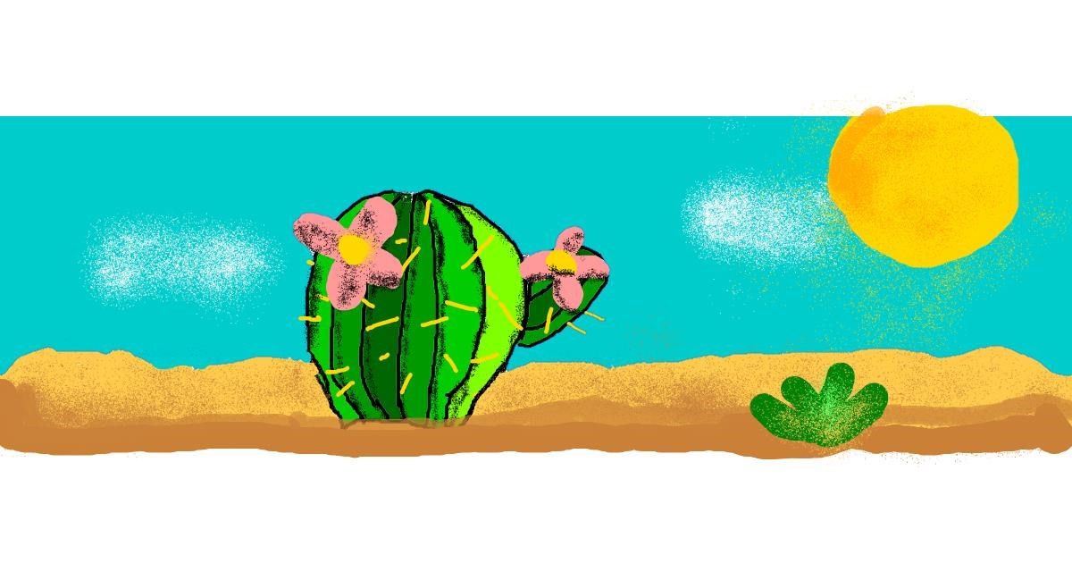 Drawing of Cactus by AnYAY