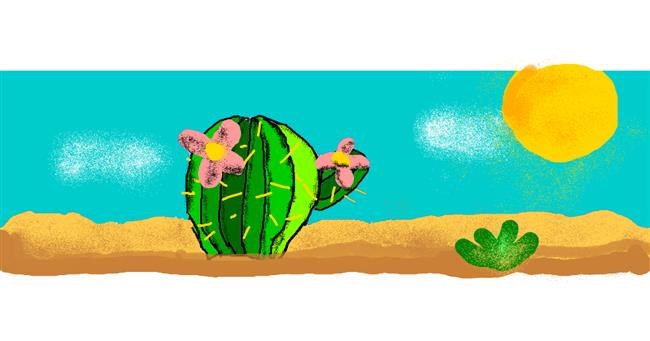 Drawing of Cactus by AnYAY