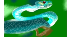 Drawing of Snake by Tim