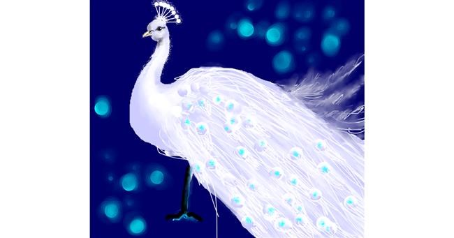 Drawing of Peacock by Dexl
