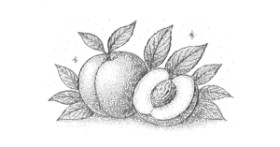 Drawing of Peach by Naywen