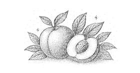 Breskva - autor: Naywen