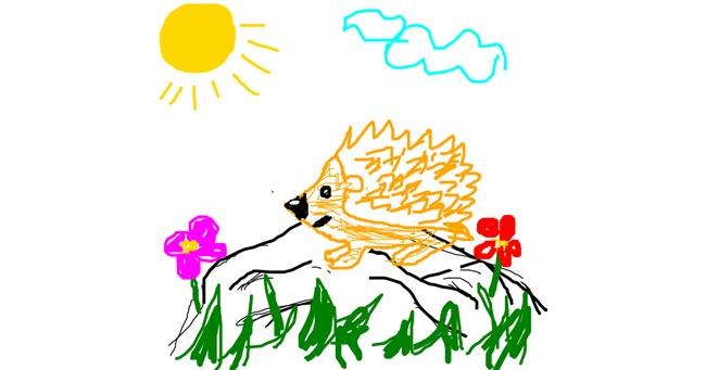 Drawing of Hedgehog by Joanna