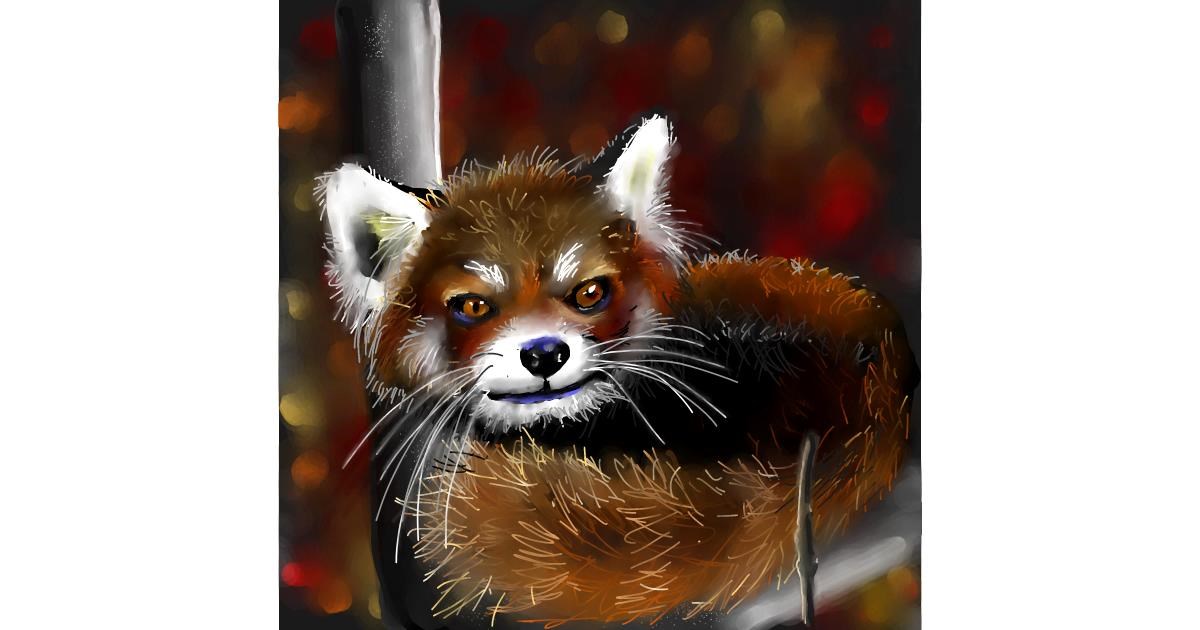 Drawing of Red Panda by Leah