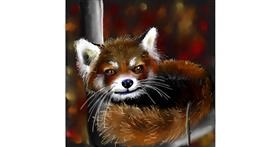 Drawing of Red Panda by Leah