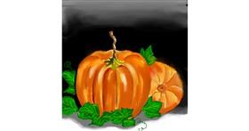 Drawing of Pumpkin by Vinci