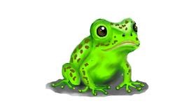 Drawing of Frog by Purple Beaver