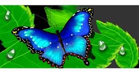 Drawing of Butterfly by Debidolittle