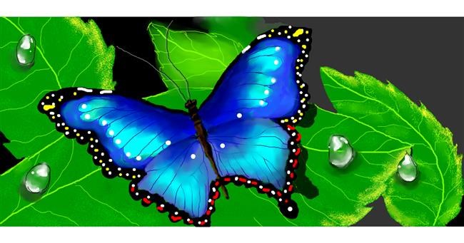 Drawing of Butterfly by Debidolittle