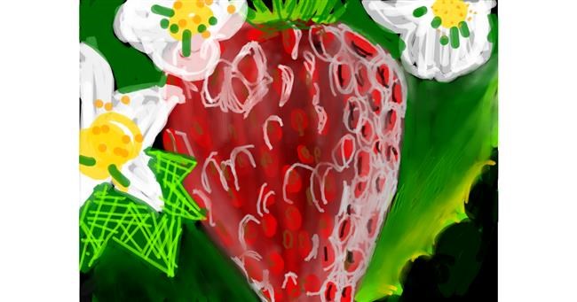 Drawing of Strawberry by Rak