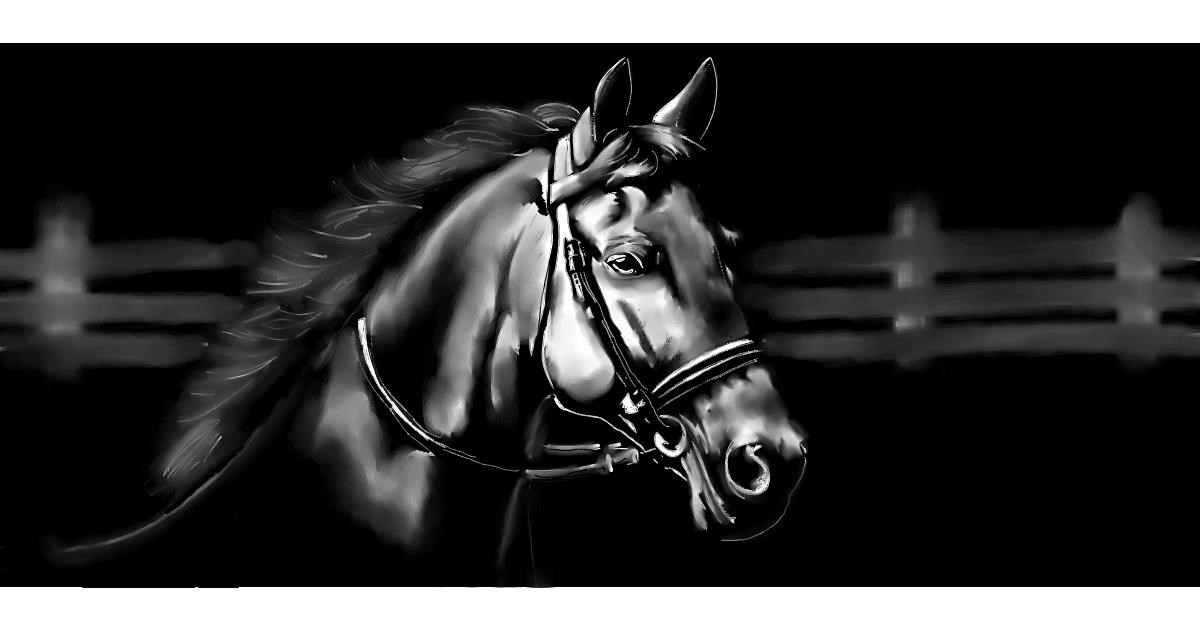 Full Size Drawing