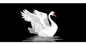 Drawing of Swan by Oli