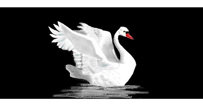 Drawing of Swan by Oli