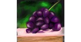 Drawing of Grapes by Ankita Sharma