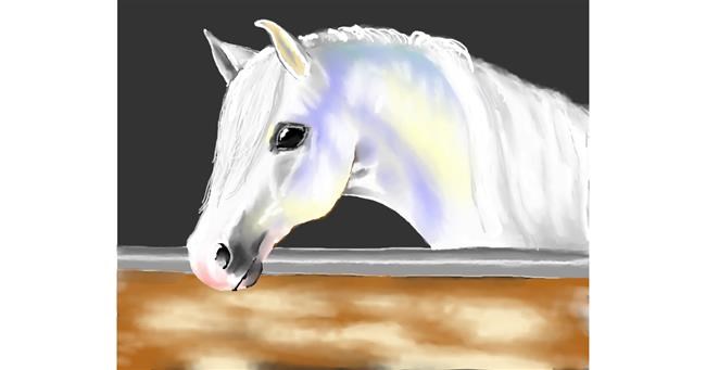 Drawing of Horse by Cec