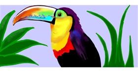 Drawing of Toucan by justme❤️