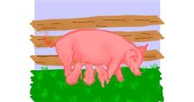 Drawing of Pig by Cherri