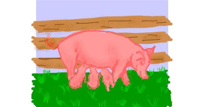 Drawing of Pig by Cherri