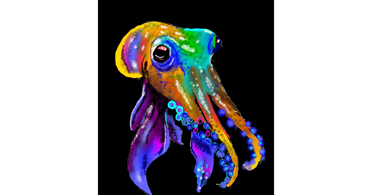 Cuttlefish Drawing - Gallery and How to Draw Videos!