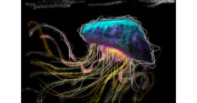 Drawing of Jellyfish by Josegreas