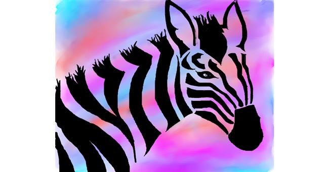 Drawing of Zebra by Freny