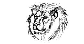Löwe-Zeichnung von ,.