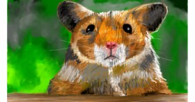 Hrčak - autor: Mia