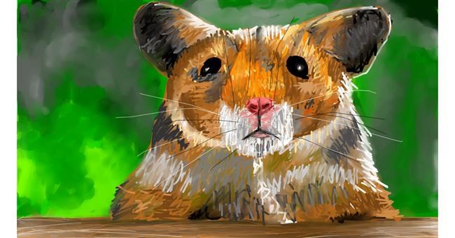 Hamster-Zeichnung von Mia