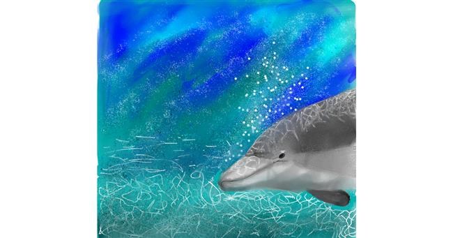 Drawing of Dolphin by Yasmeen