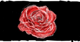 Drawing of Rose by Paranoia