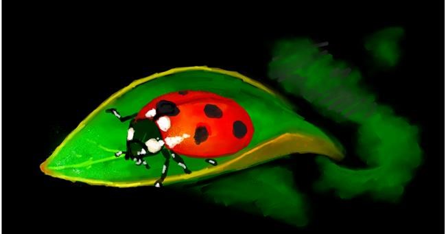 Drawing of Ladybug by shiNIN