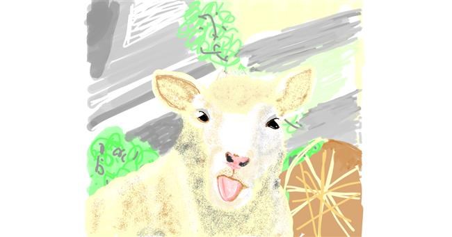 Drawing of Sheep by Geo-Pebbles