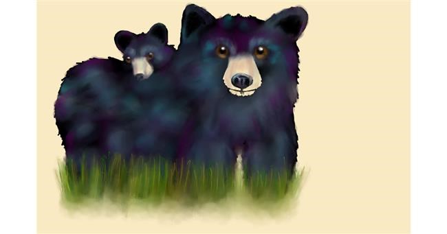 Drawing of Bear by Pickles