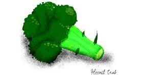Drawing of Broccoli by Bigoldmanwithglasses