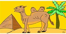 Drawing of Camel by Swimmer 