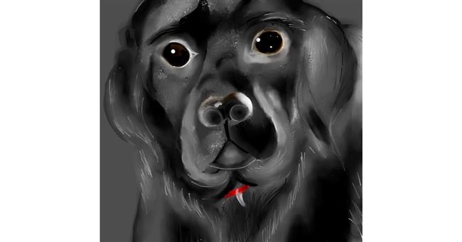 Hund-Zeichnung von Yashi 🐢