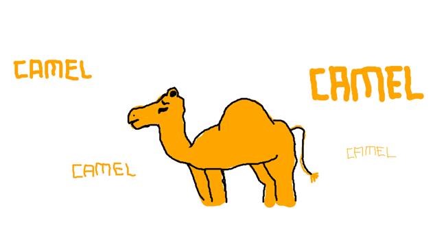 Kamel-Zeichnung von bob