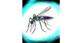 Drawing of Mosquito by Maggie
