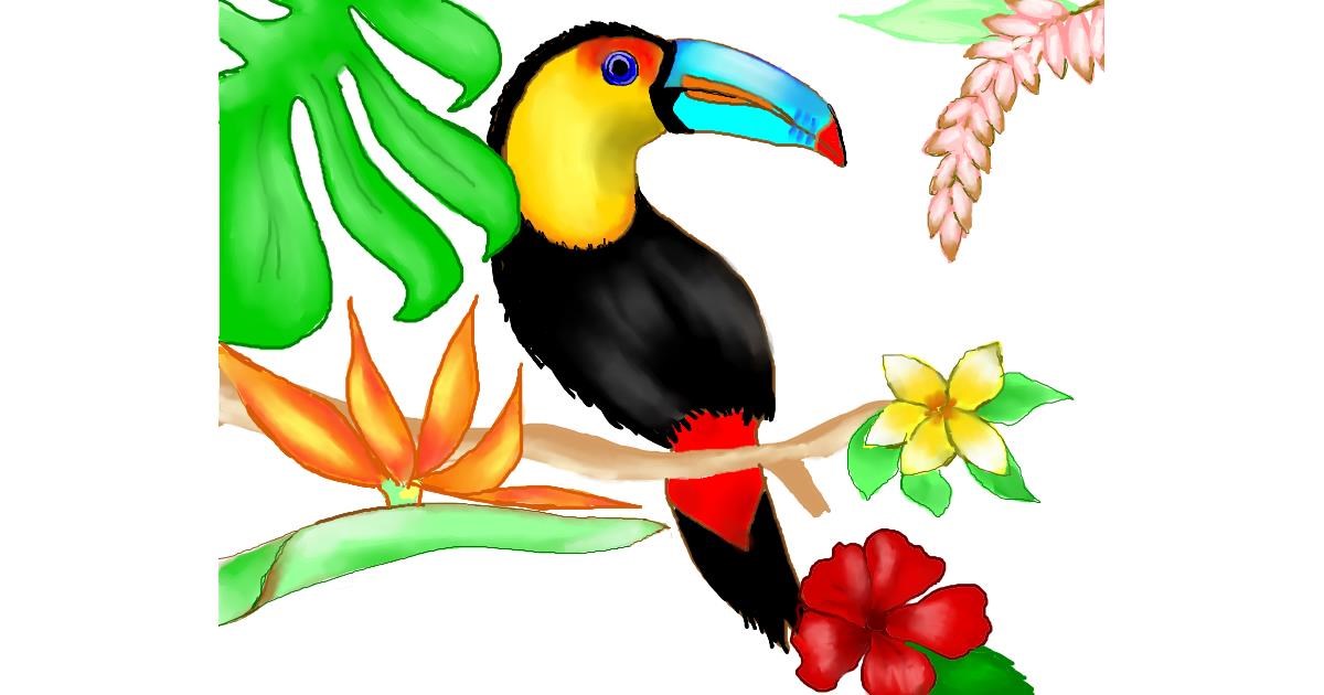 Drawing of Toucan by Cec