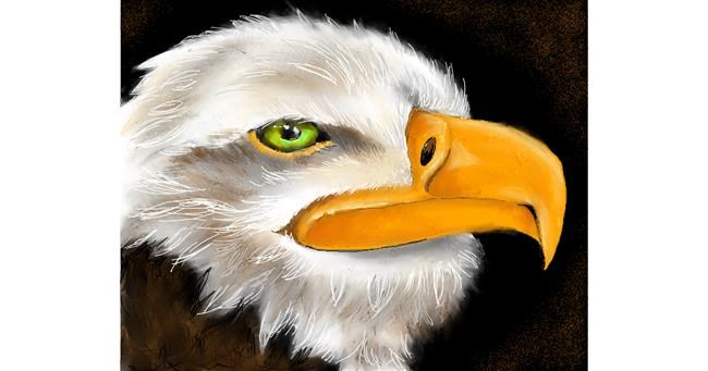 Drawing of Eagle by Audrey