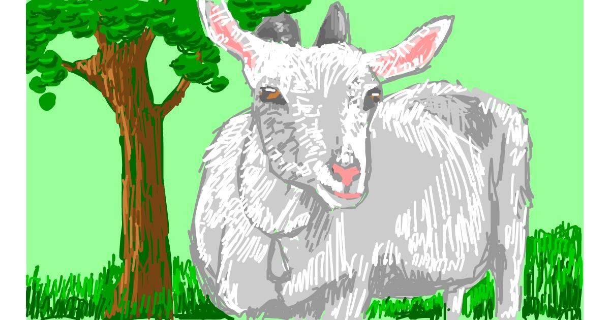 Drawing of Goat by RonNNIEE